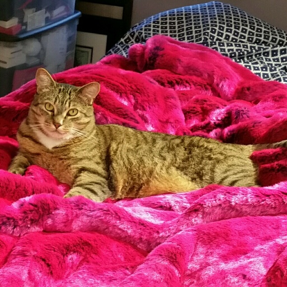 snumaui